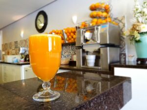 Máquina de Suco de Laranja - Saiba como empresas estão reduzindo os gastos com a produção de suco de laranja e aumentando os Lucros 4